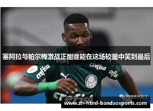 塞阿拉与帕尔梅激战正酣谁能在这场较量中笑到最后